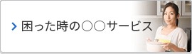 株式会社 アミューズ24 困った時の○○サービス