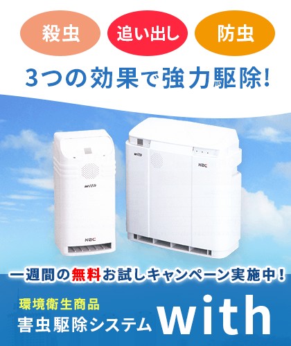 株式会社 アミューズ24 ウィズ